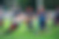 Hamburg Sea Devils Saison 2024