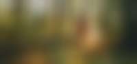 Frau im Wald in der Natur