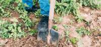 Gartenarbeit