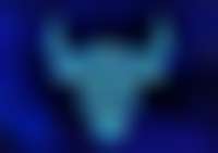 Stier