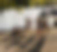 Menschen tanzen am Strand