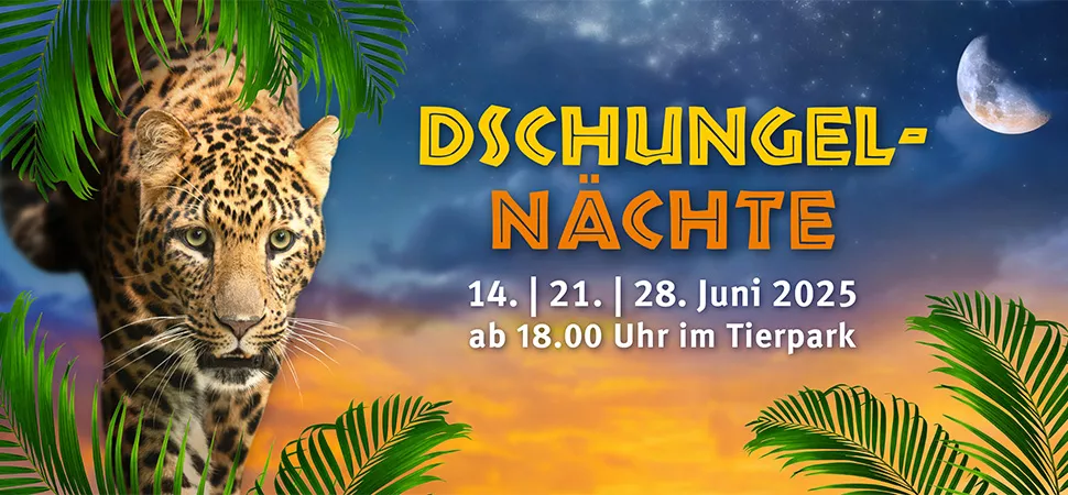 Tierpark Hagenbeck Dschungelnächte 2025 Tierpark Hagenbeck Dschungelnächte 2025