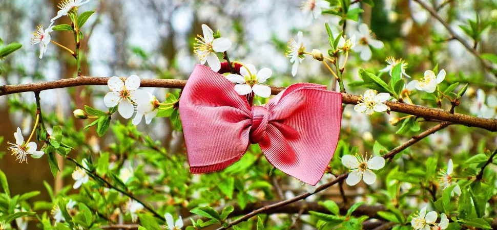 Pinke Schleife in einem blühenden Obstbaum