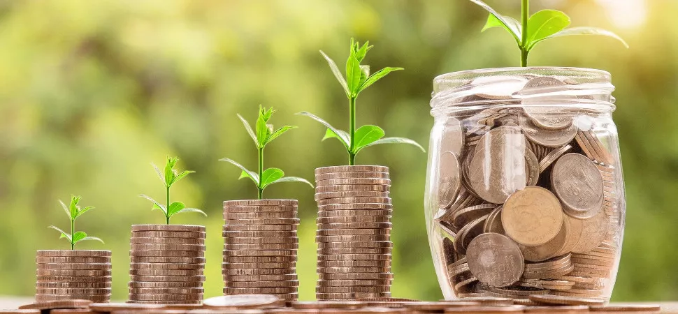 Geld investieren Wachsende Menge an Münzen, aus denen eine Pflanze wächst