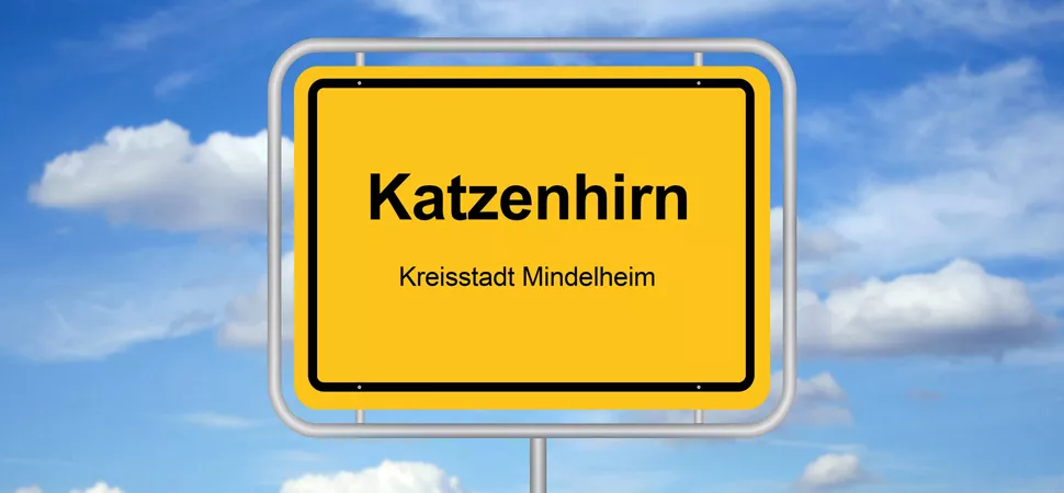 Katzenhirn Katzenhirn