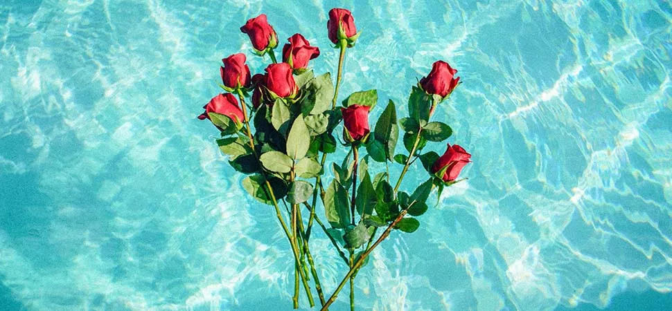 Bachelor in Paradise Rote Rosen im Pool