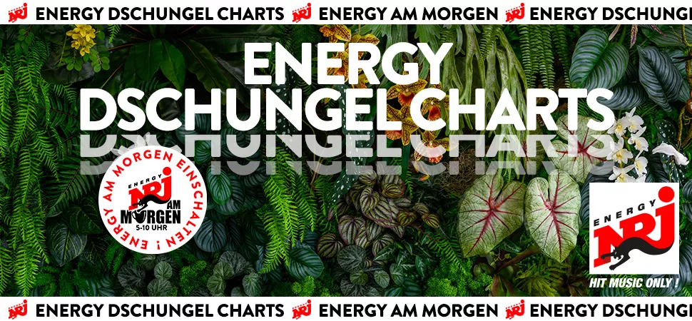 ENERGY DSCHUNGEL CHARTS Header ENERGY DSCHUNGEL CHARTS Header national 970