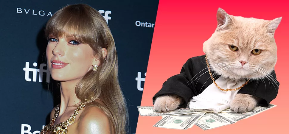 Taylor Swifts Katze Taylor Swifts und ihre Katzen