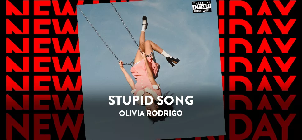 Stupid Song