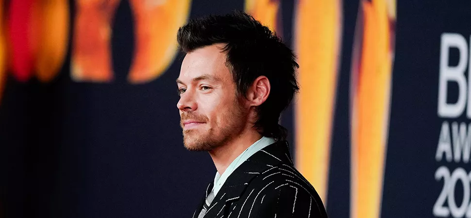 Harry Styles auf dem Roten Teppich 2026