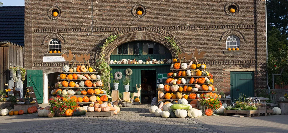Kürbishof Kürbishof in Kamen, NRW