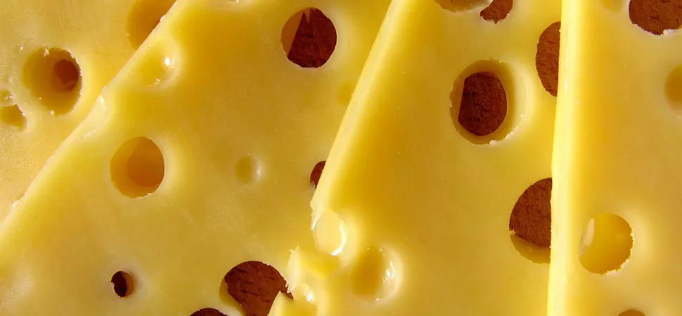 Käse Header 970