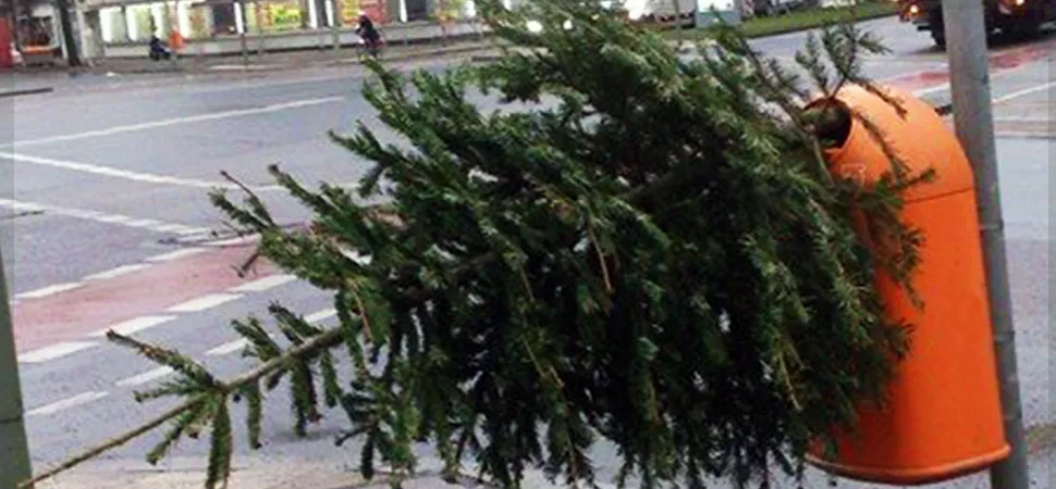 Weihnachtsbaumentsorgung Weihnachtsbaumentsorgung Header 970