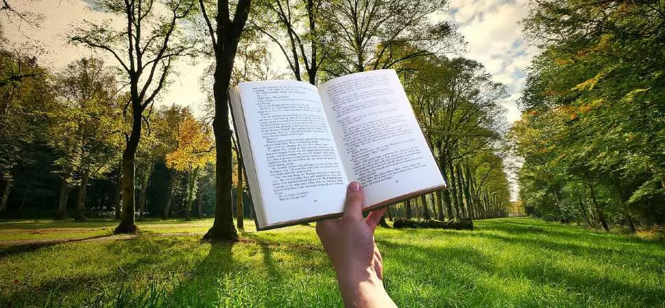 Buch in Hand in Wald Buch in Hand in Wald