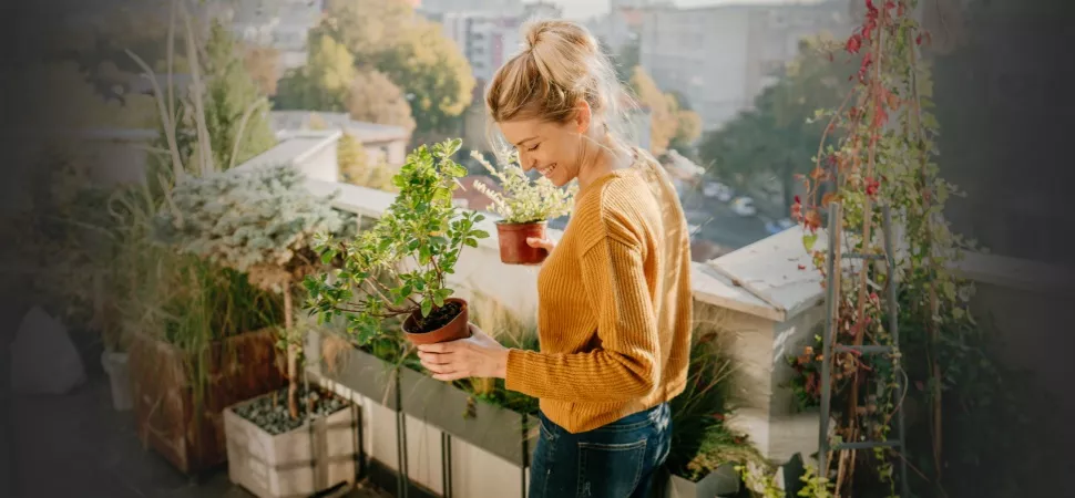 Tipps für einen schönen Balkon Online Artikel