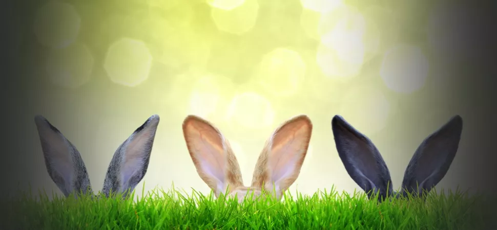 Ostern - Kurztripp-Empfehlungen Online Artikel