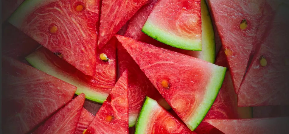 leckere Snacks Sommersnacks