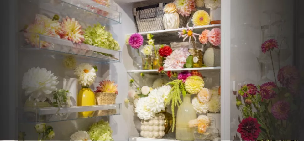 Blumen im Kühlschrank Blumen im Kühlschrank