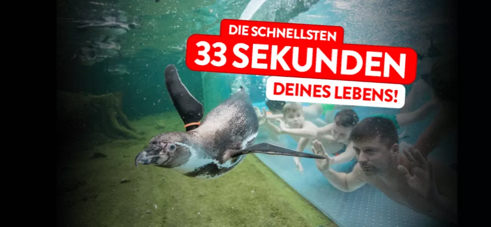 33 Sekunden