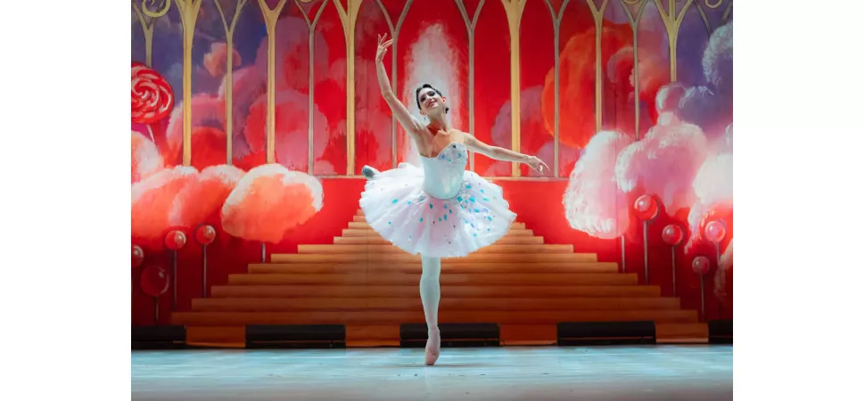 Schwanensee Balletttänzerin