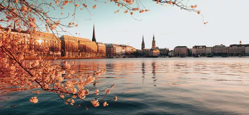 Binnenalster mit blühendem Baum
