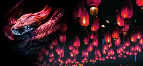 Chinesisches Neujahr 2025