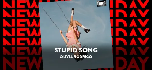 Stupid Song