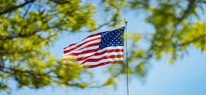 Wehende Flagge der USA hinter einem Baum