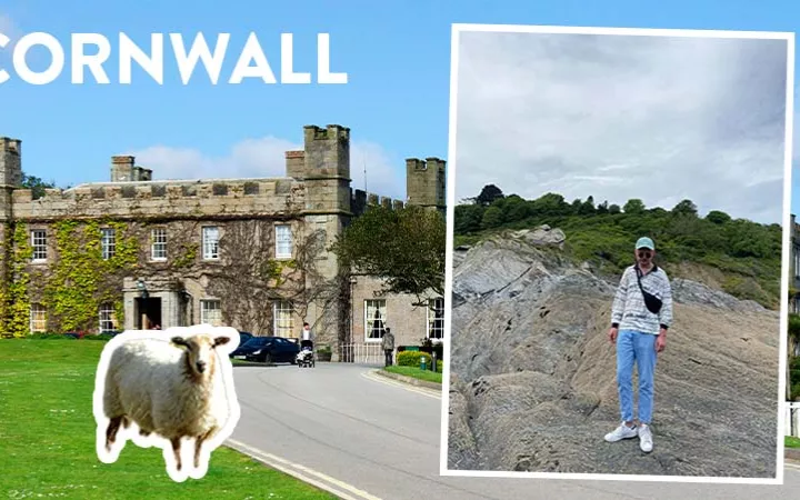 Geheimtipps für Cornwall Schaf, Cornwall, Leo