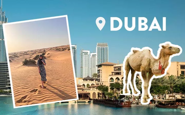 Geheimtipps für Dubai Foto von Julia, Dubai, Kamel