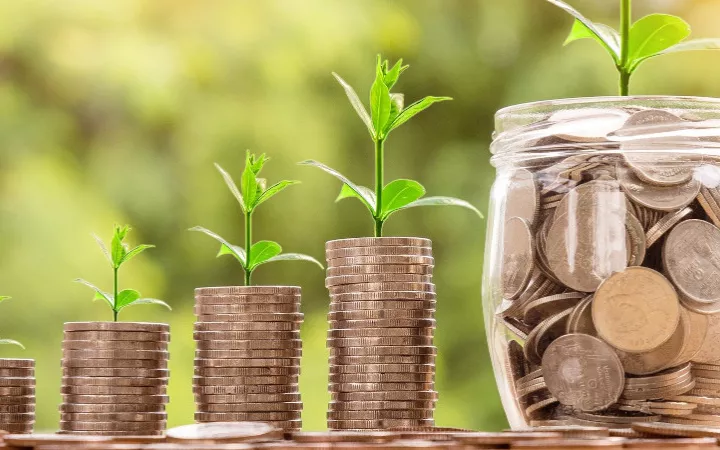 Geld investieren Wachsende Menge an Münzen, aus denen eine Pflanze wächst