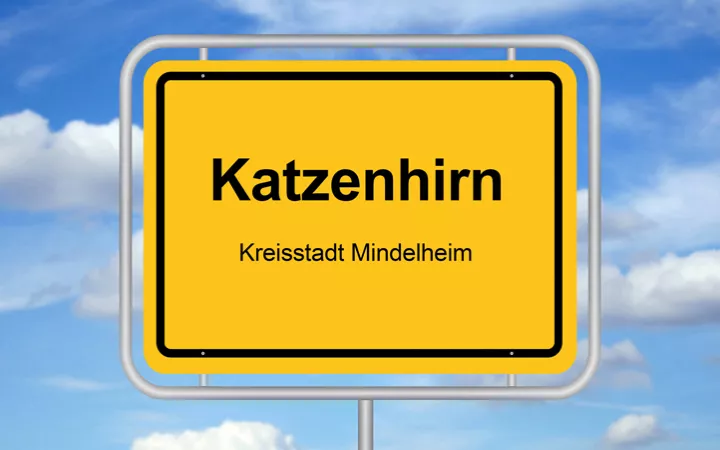 Katzenhirn Katzenhirn