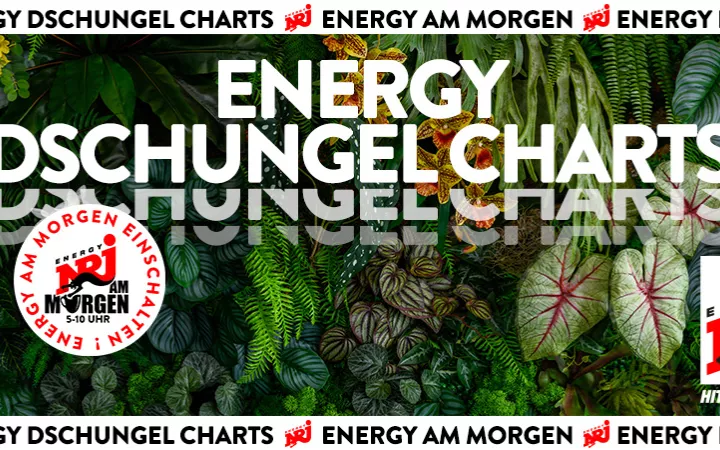 ENERGY DSCHUNGEL CHARTS Header ENERGY DSCHUNGEL CHARTS Header national 970