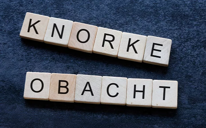 Boomer-Wort des Jahres 2024 Boomer-Wort des Jahres 2024