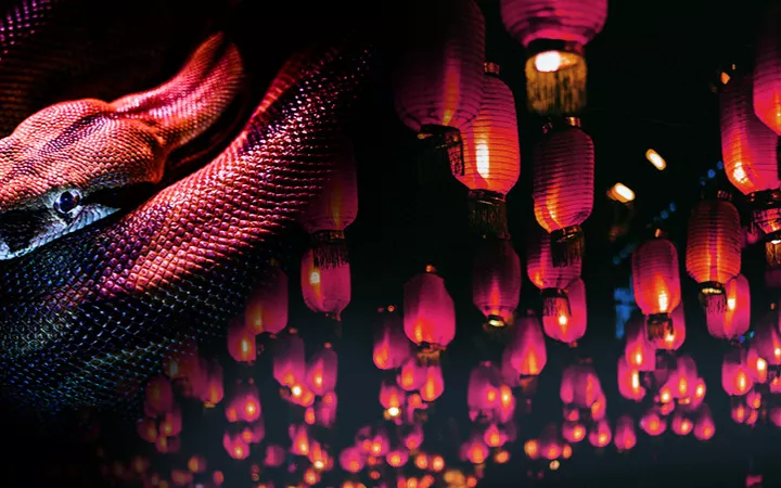 Chinesisches Neujahr 2025