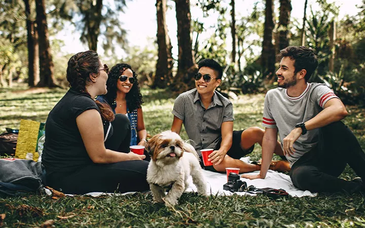 Gruppe Freunde mit Hund auf einer Picknickdecke Gruppe Freunde mit Hund auf einer Picknickdecke
