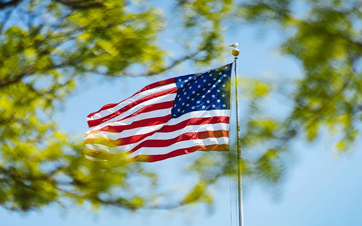 Wehende Flagge der USA hinter einem Baum