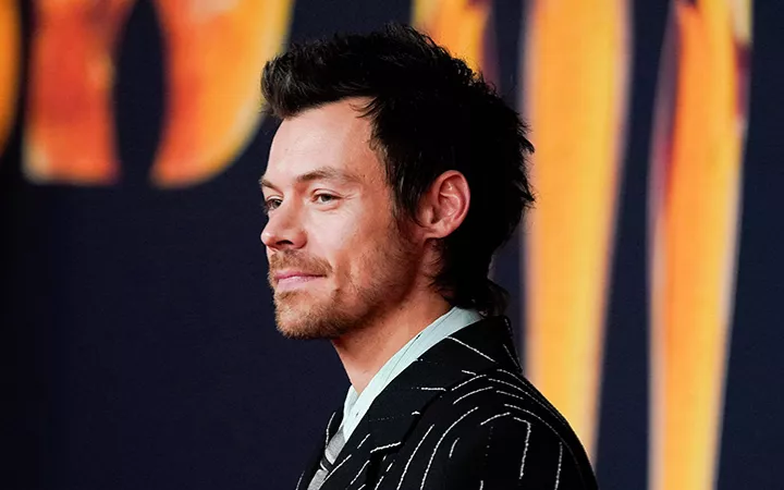 Harry Styles auf dem Roten Teppich 2026