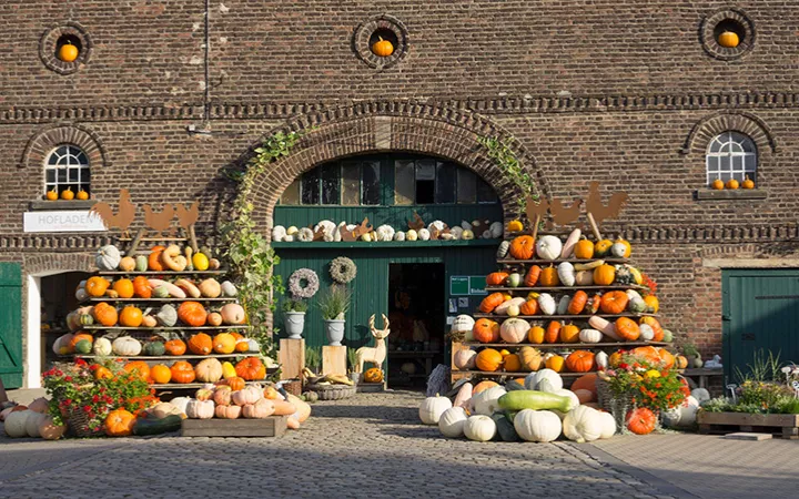 Kürbishof Kürbishof in Kamen, NRW