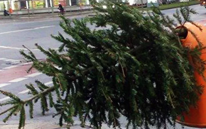 Weihnachtsbaumentsorgung Weihnachtsbaumentsorgung Header 970