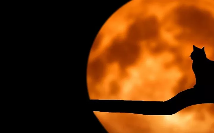Neumond im Krebs Neumond