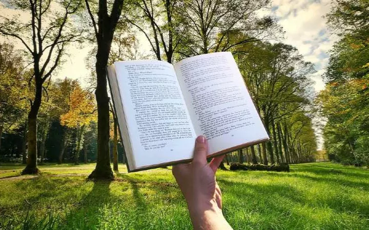 Buch in Hand in Wald Buch in Hand in Wald