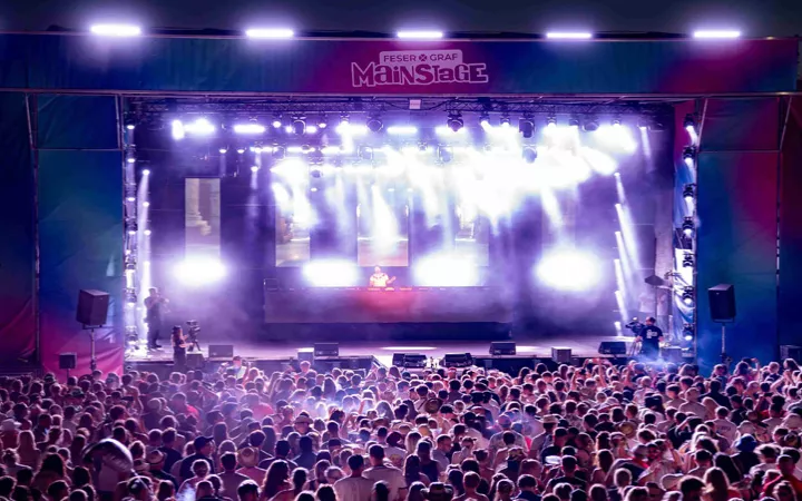 Garlic Lanf Festival Gallery Header