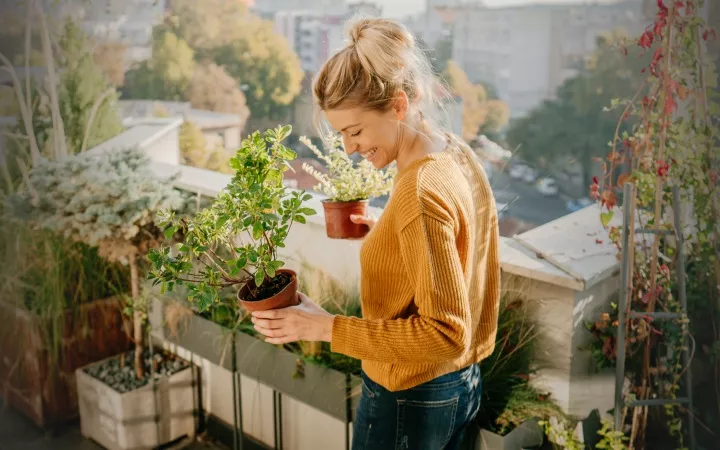 Tipps für einen schönen Balkon Online Artikel