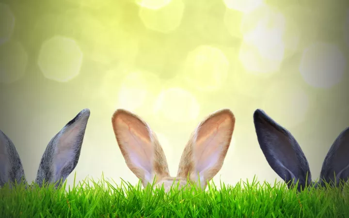 Ostern - Kurztripp-Empfehlungen Online Artikel