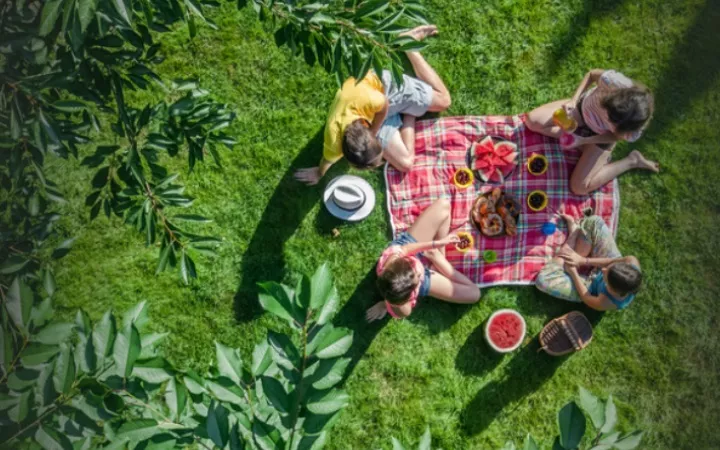 Banner Picknick-Spots Banner Picknick Spots