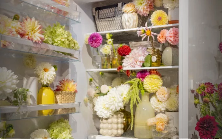 Blumen im Kühlschrank Blumen im Kühlschrank