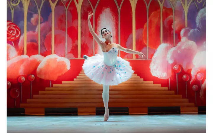 Schwanensee Balletttänzerin