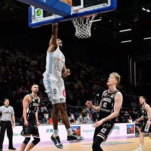 Nürnberg Falcons Nürnberg Falcons Image 500 x 500