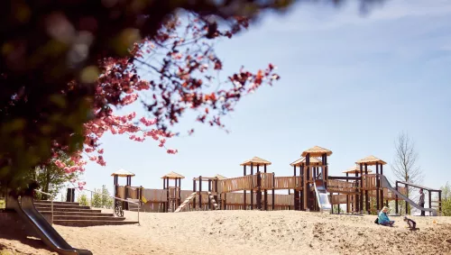 Ein Spielplatz, im Vordergrund ein blühender Baum